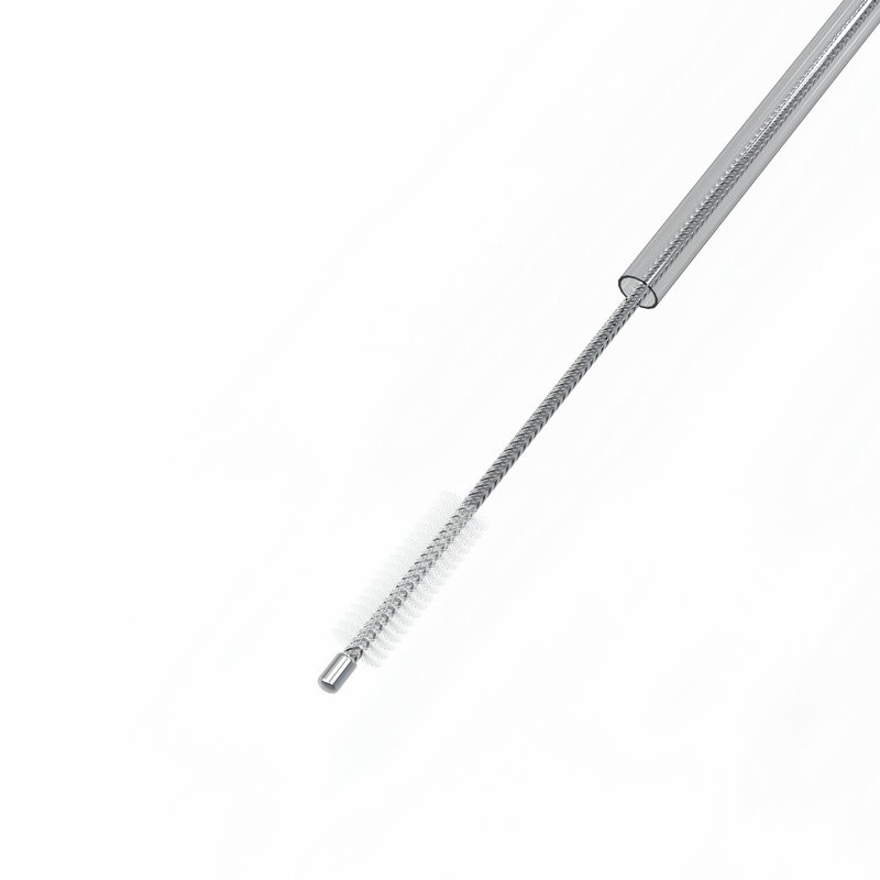Cytology brush retracted into protective transparent sheath