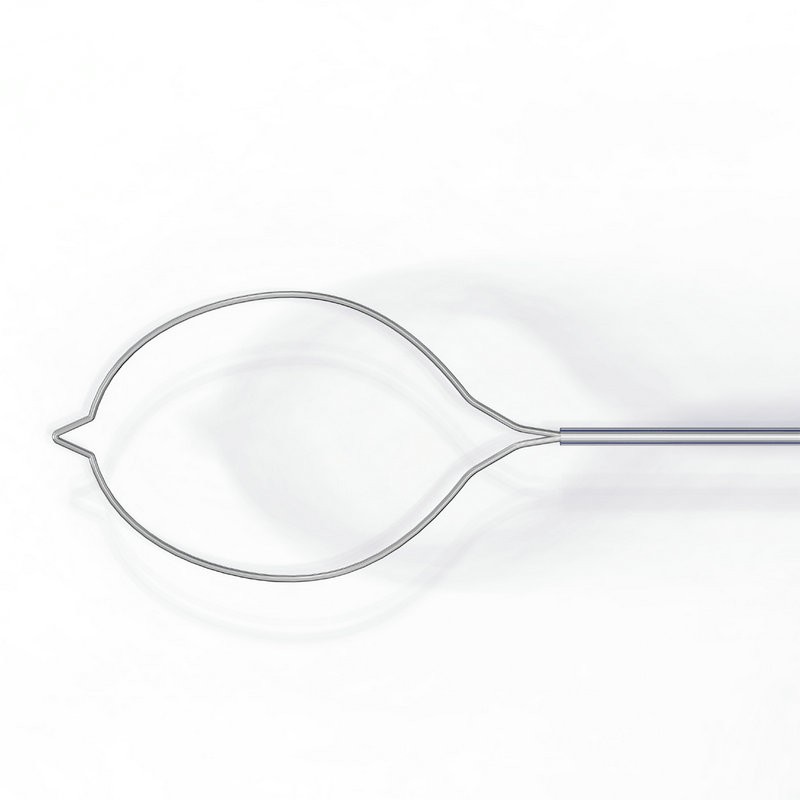 Disposable polypectomy snare — ellipse braided-wire loop for GI polyp resection